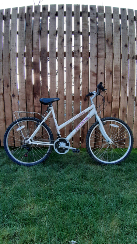 probike escape ladies